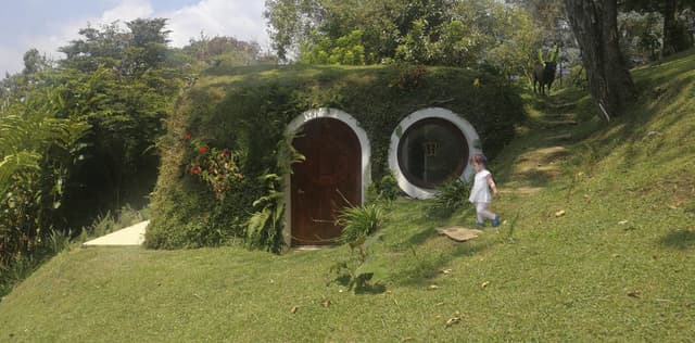 Gallery image 1