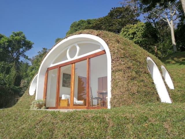 Gallery image 5
