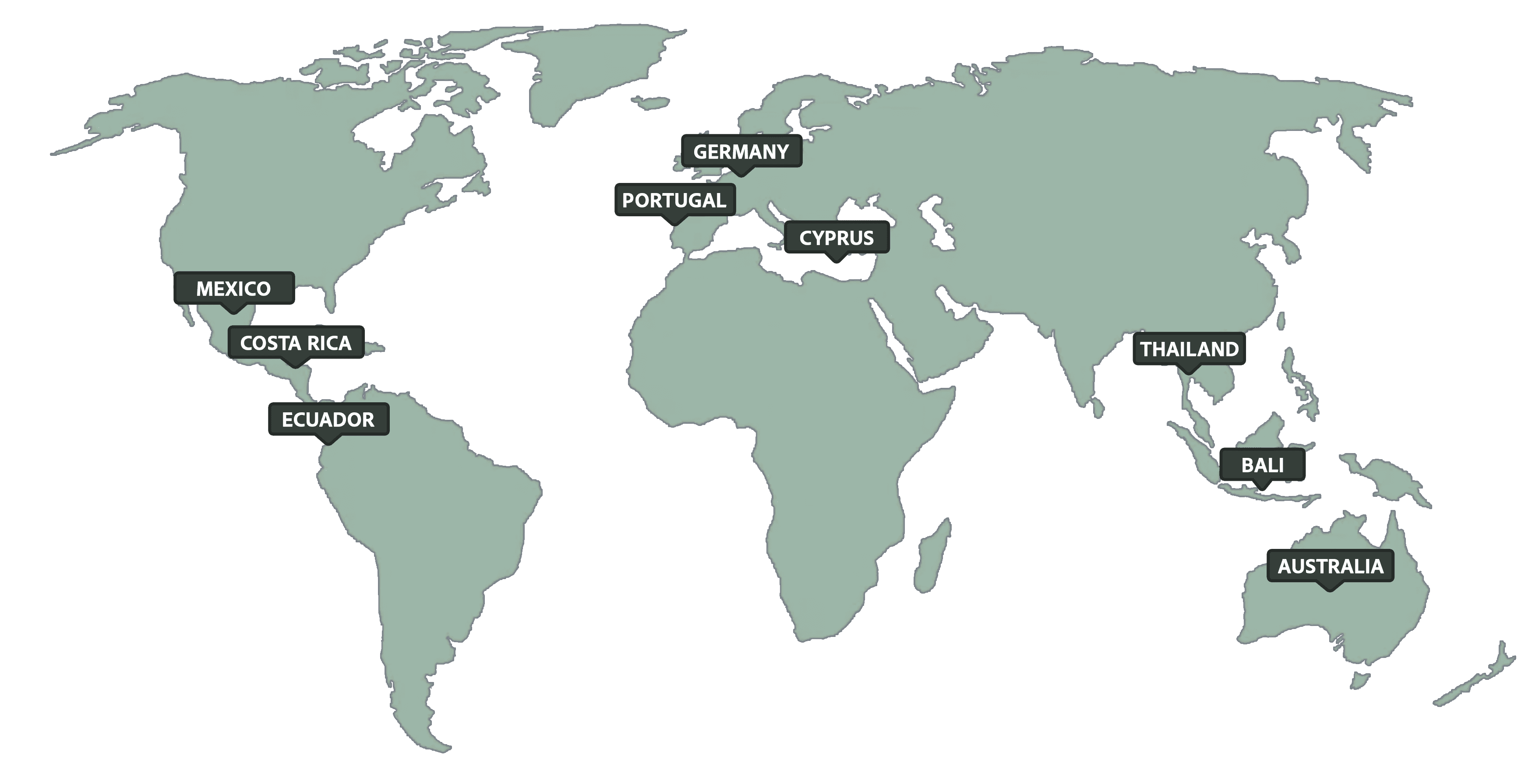 Global Capsule-Based Community