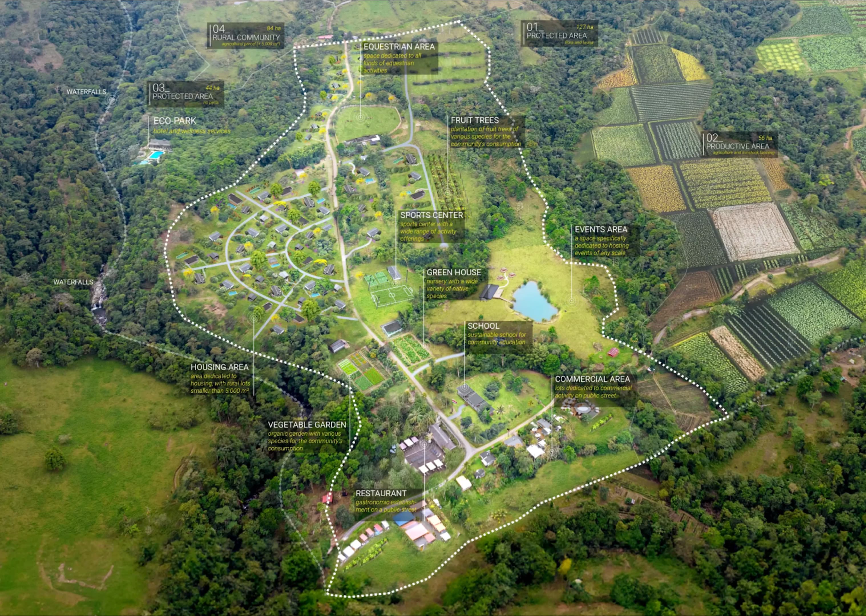 Oka's Vision